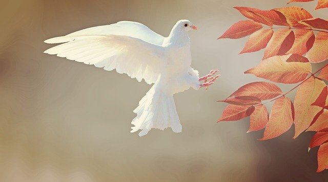 Meslek tek başına iş asla değildir.